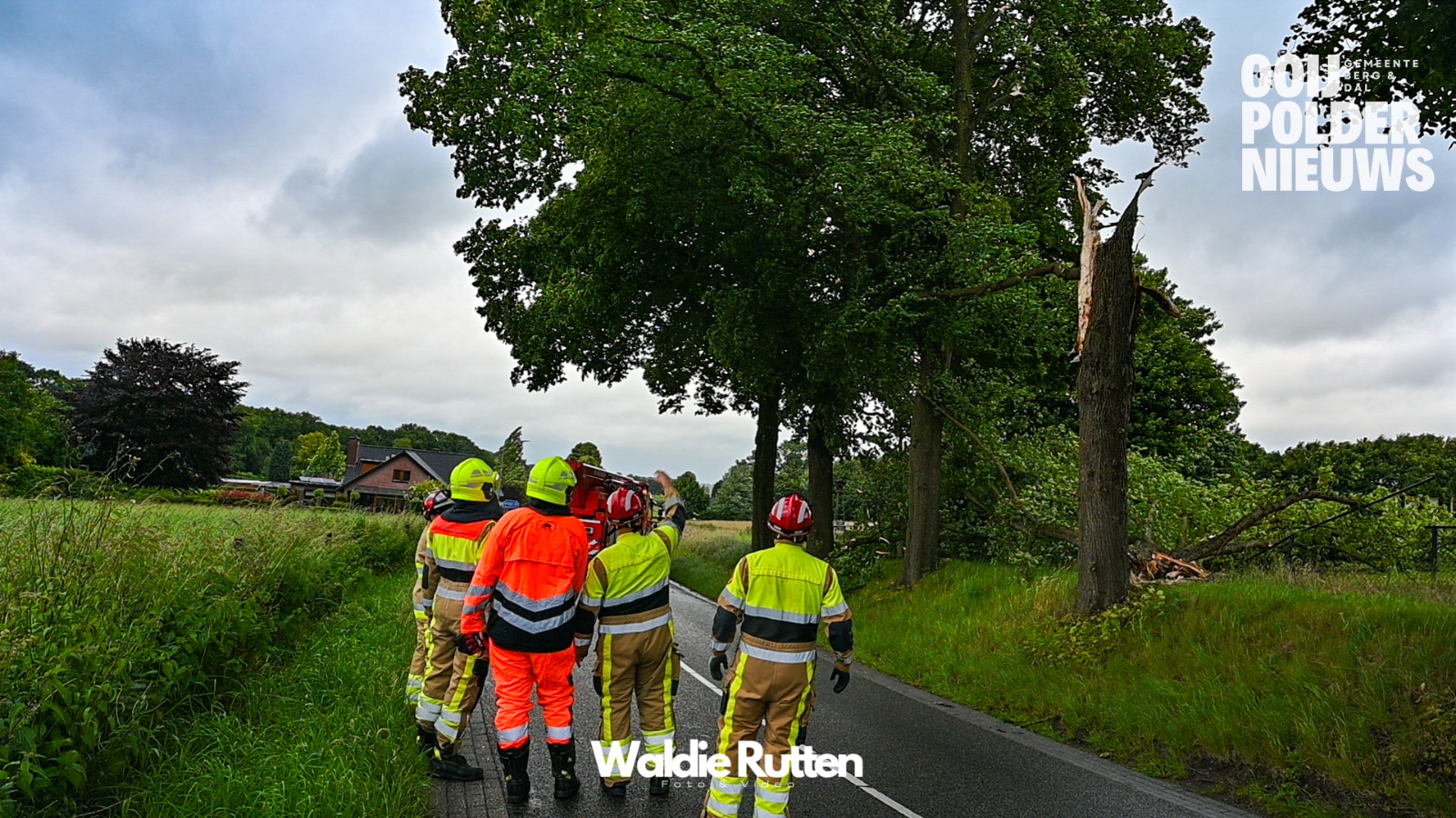 Boom verspert fietspad Wylerbaan Groesbeek