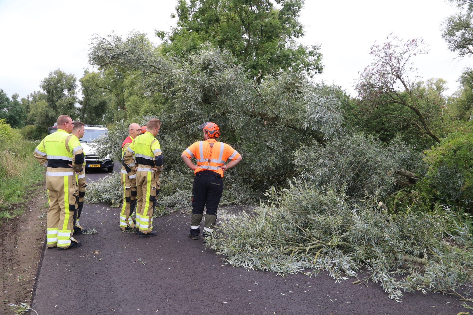 Boom verspert Kruisstraat in Ooij