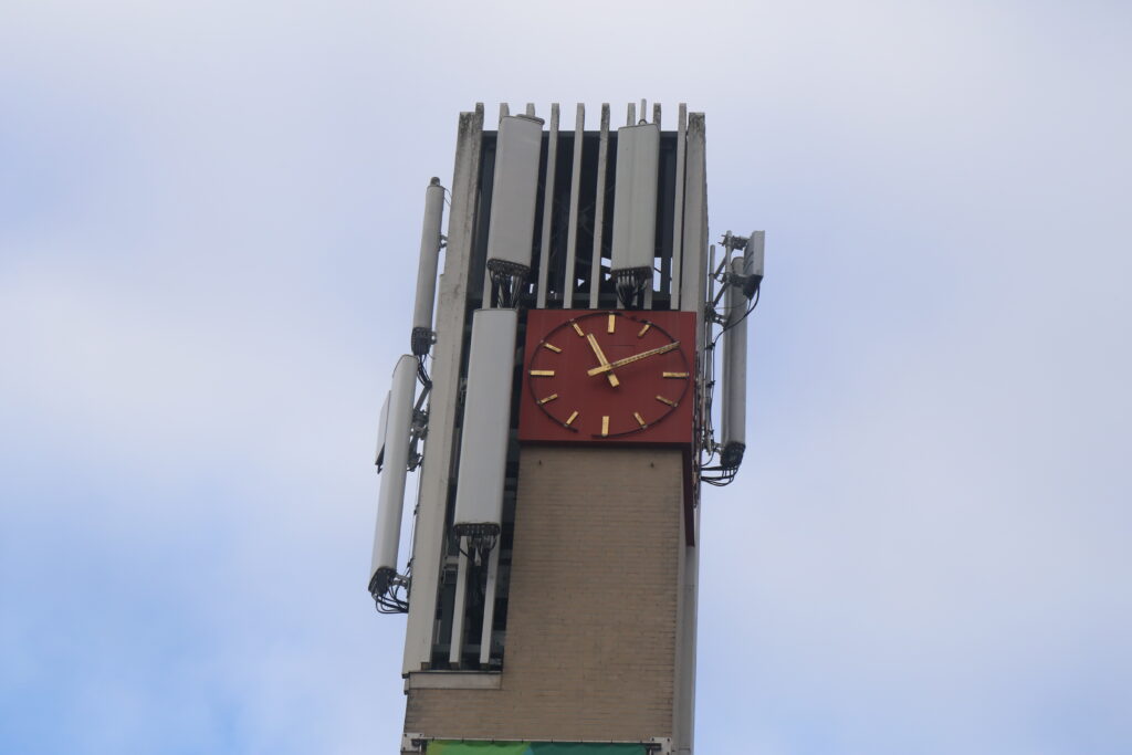 Carnavalsdoek ‘De Lange Pier’ gemeentehuis van Berg en Dal